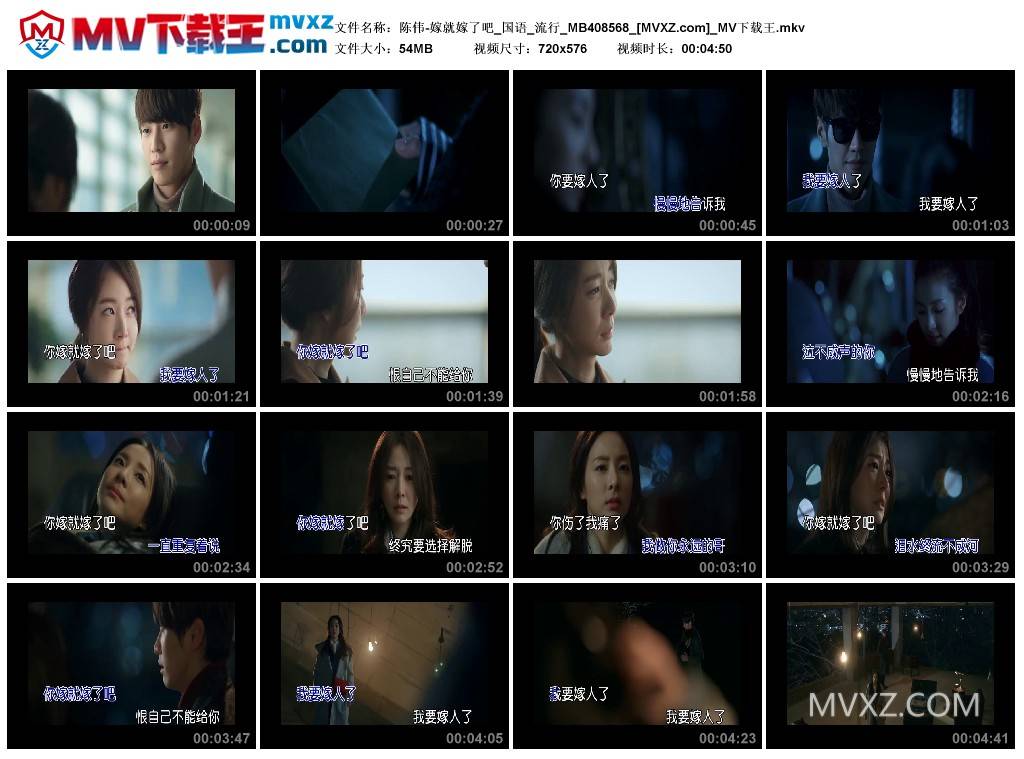 陈伟-嫁就嫁了吧_国语_流行_MB408568